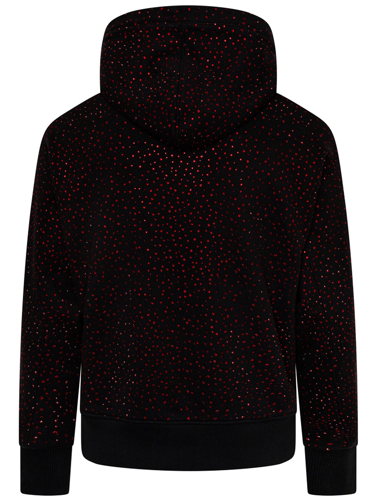 The Renaissance Hoodie